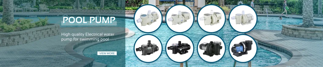 Hot Sale High Quality Centrifugal Electric Water Pumps for Commercial Swimming Pool, SPA, Waterfall and Water Features