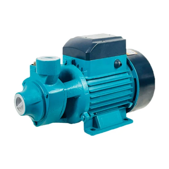 Popular High Performance 0.5HP Small Size Home Use Qb60 Vortex Water Pumps High Head Booster Clean Water Pump